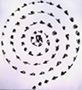 El merodeador. 1992