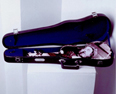 Violincia contenida. 1992